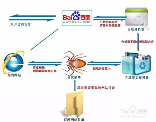 搜索引擎蜘蛛抓取策略，如何吸引更多蜘蛛