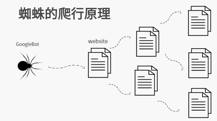 搜索引擎蜘蛛是如何判斷網(wǎng)站是否優(yōu)質？