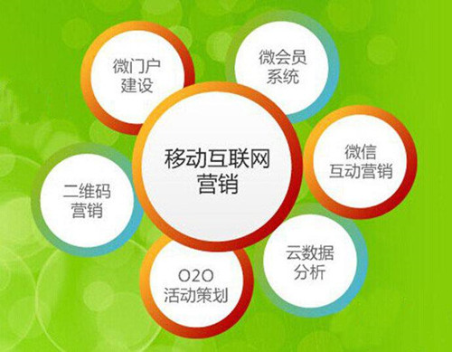 超級蜘蛛池之如何做好SEO工作？